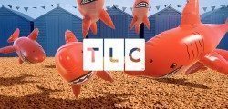 New brand identity TLC: featuring blow up sharks